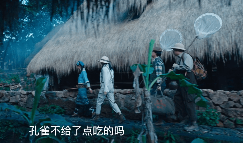 角色|《云南虫谷》：李晨演的张赢川太出戏？世外高人演成了都市精英