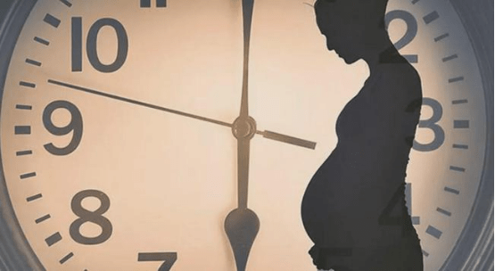 什么什么废食的成语_成语故事简笔画(4)