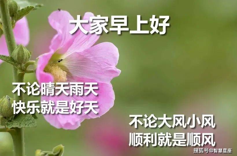 9月日清晨早上好问候语表情动态美图 清晨好问候语录暖心句子献给你 才会