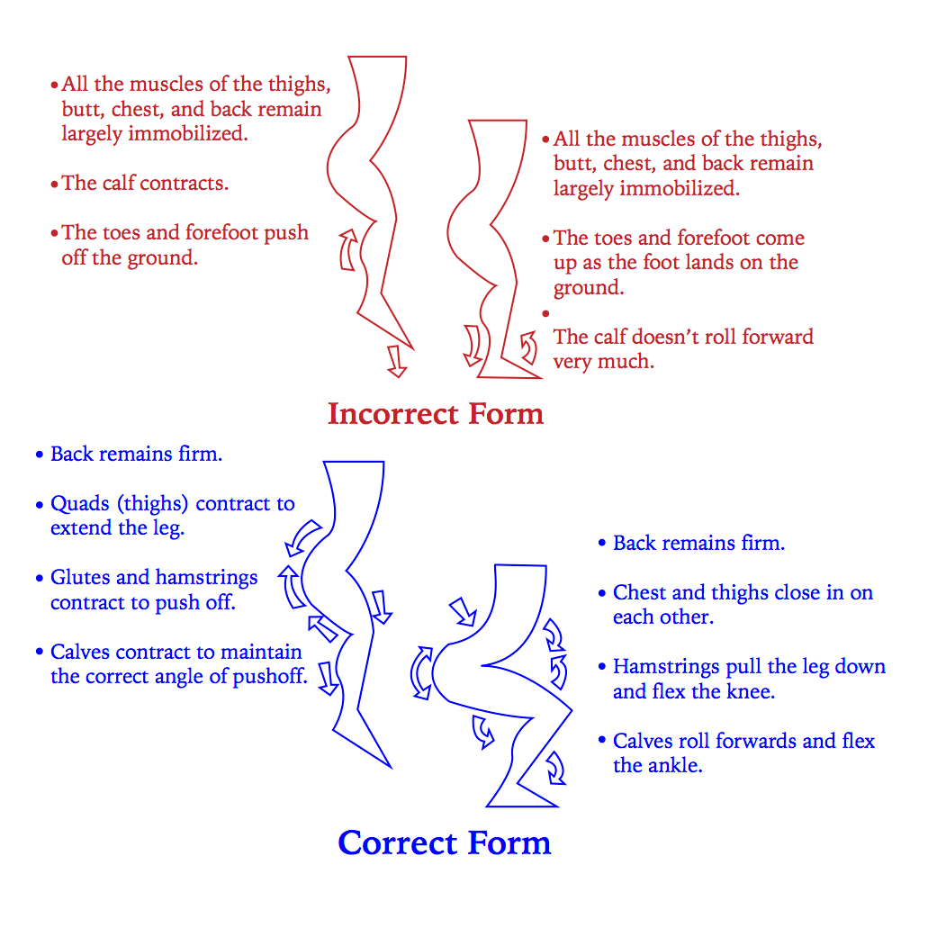 作用|跳绳对身体有什么作用？每天跳绳好吗？