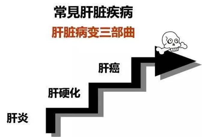 生活|实现乙肝临床治愈,也能像正常人一样生活!