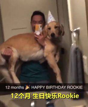 主人記錄下狗狗慢慢長大的過程，最後真的抱不動了，請忍住不笑 萌趣萌寵 第6张