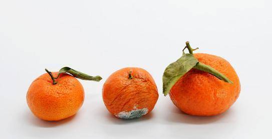 肝脏|59岁大叔坚持吃绿豆三年,结果怎么样了?不妨了解一下