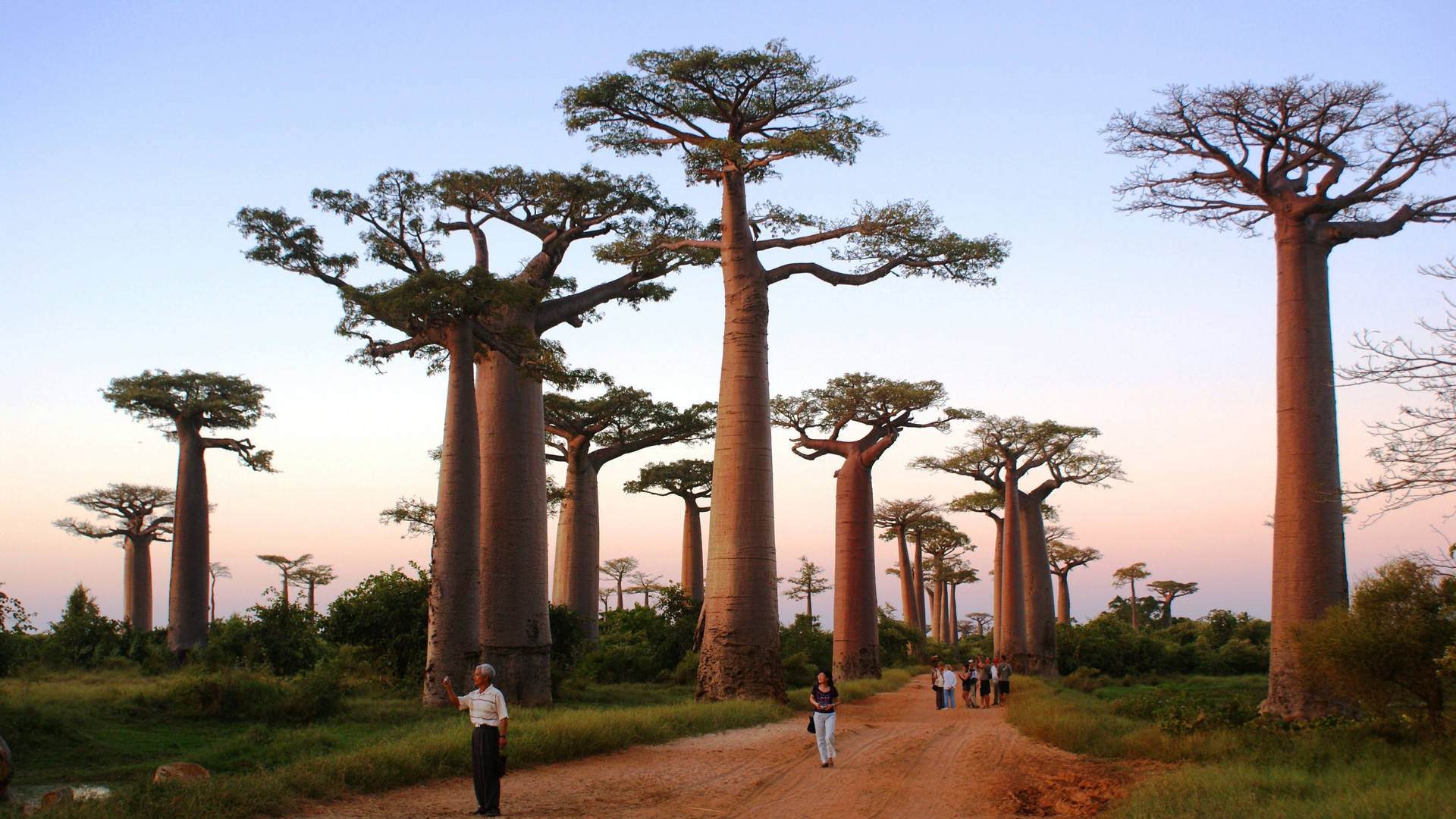 遥远的马达加斯加：生活的不富裕，丝毫影响不到这世间的这片美丽