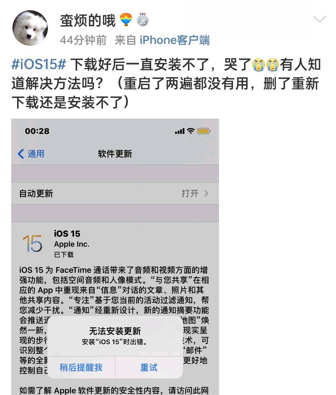 ios17.4正式版推送机型 6e1d77f25ffd43d2a8e7e2c768357b7f.jpeg