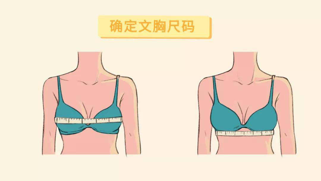 (在没有穿内衣的情况下测量)举个例子,假如你的下胸围是72cm,上胸围是