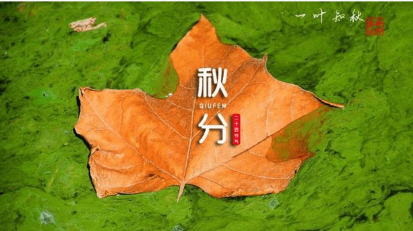 78ff9c32967d4e7b9336b902ecf2b649.png