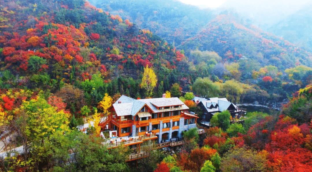 如山|一眼就“沦陷”！这里藏着济南超浪漫的秋天，再等半个月又要美出新高度！