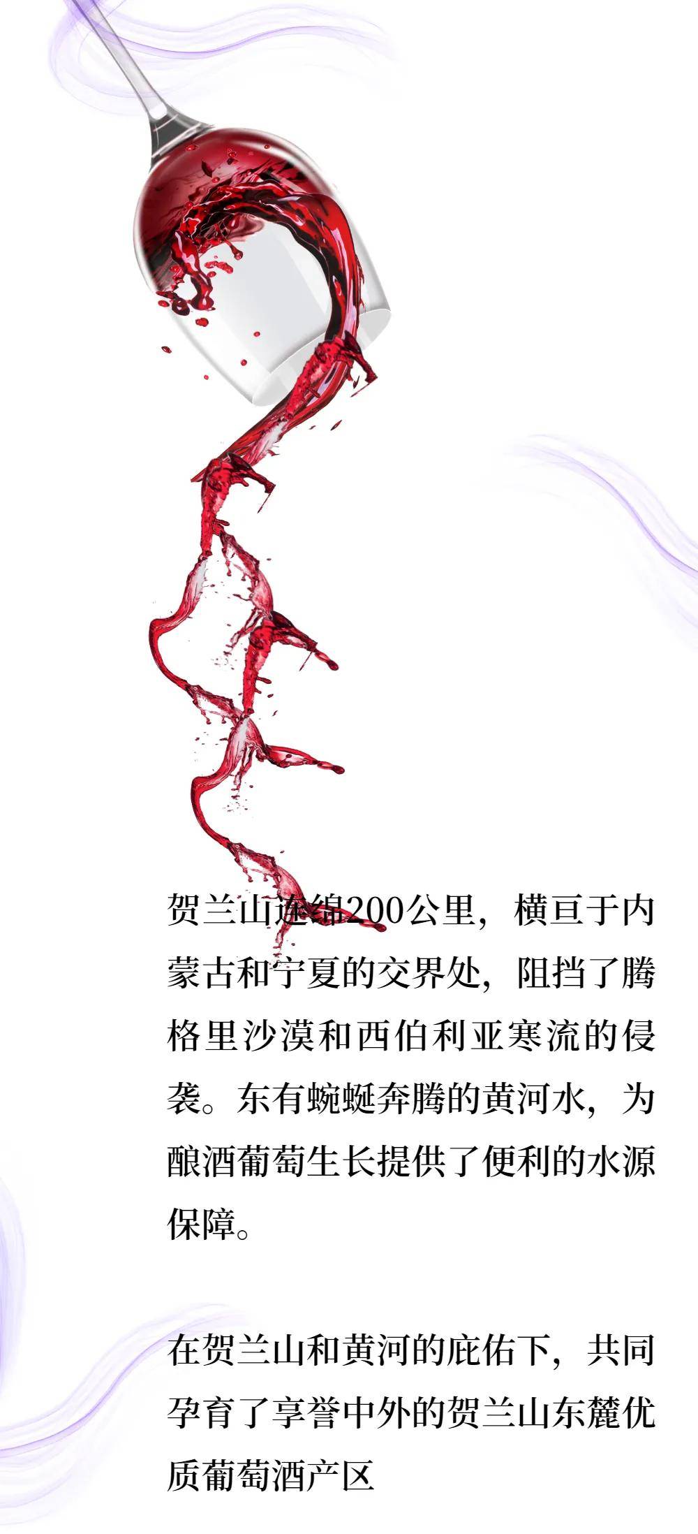 国际|听说,宁夏葡萄酒最近很火!