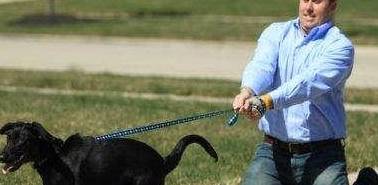 对比|养狗前后的大对比,资深铲屎官纷纷“躺枪”!