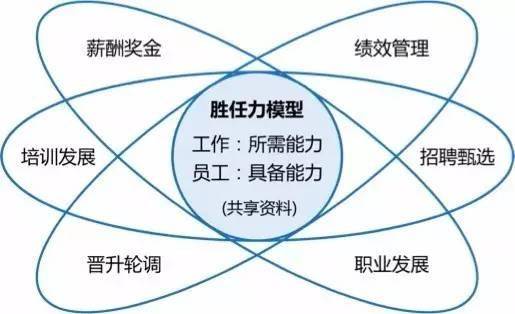 52fbcac29d074a388f6aff82f64618a5.jpeg
