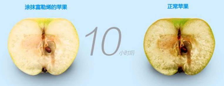 原液水媚蛙：导致皮肤衰老的两大主要原因