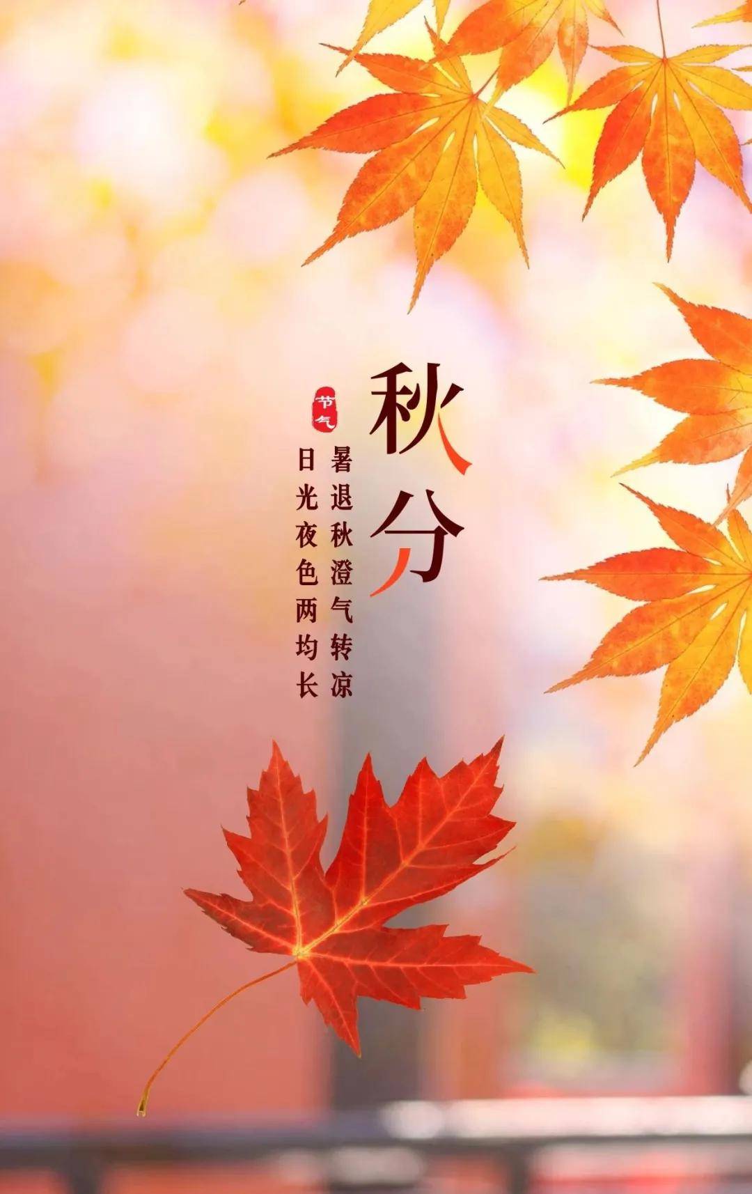 被称为|正是一年最美时