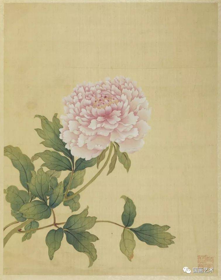 故宫馆藏精品 蒋廷锡《牡丹十六种》图册欣赏