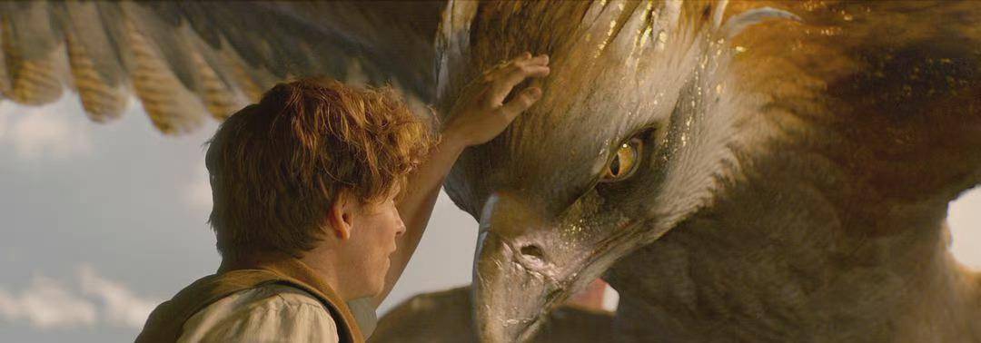 副标题|提档！剧情曝光！《神奇动物3》副标题正式定名为《邓布利多之谜》