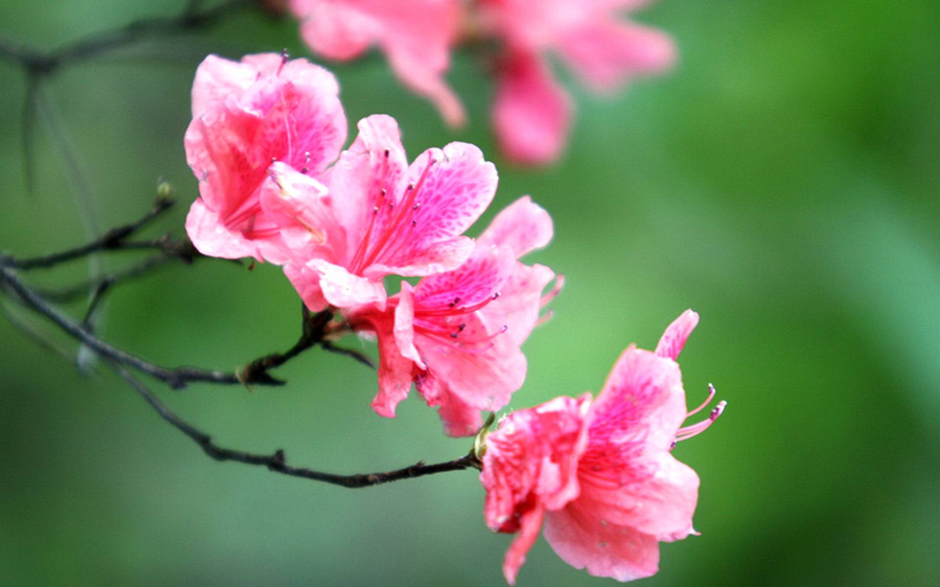 9月25日星座运势 金牛注重细节 狮子实现目标 射手全力以赴 工作