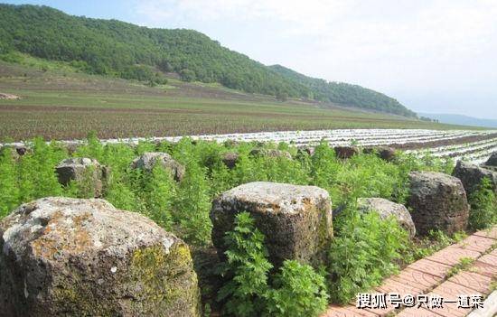 什么是遗址 8570bcc4a780403d941aa8a658aafbea.jpeg