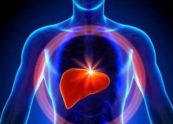 肝脏|公认6大“伤肝”行为,喝酒仅仅排第6,第1个多数人都猜不到!