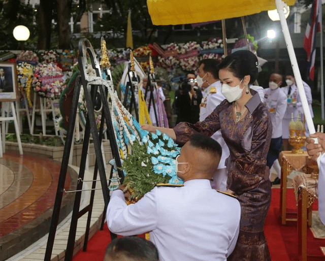耳坠 诗妮娜又穿高贵紫，印花裙配黑珍珠耳坠彰显贵气，却无资格坐御车