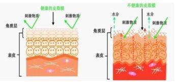集锦水媚蛙：面膜知识集锦，作为女人你一定要知道