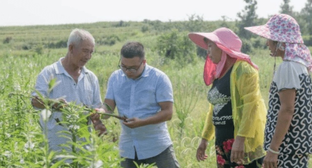 公务员职位排行_公务员考试最吃香岗位排行前三,“公检法”落选!