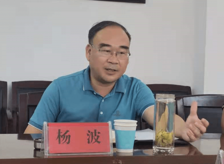 阳新新闻杨波调研陶港镇经济社会发展工作