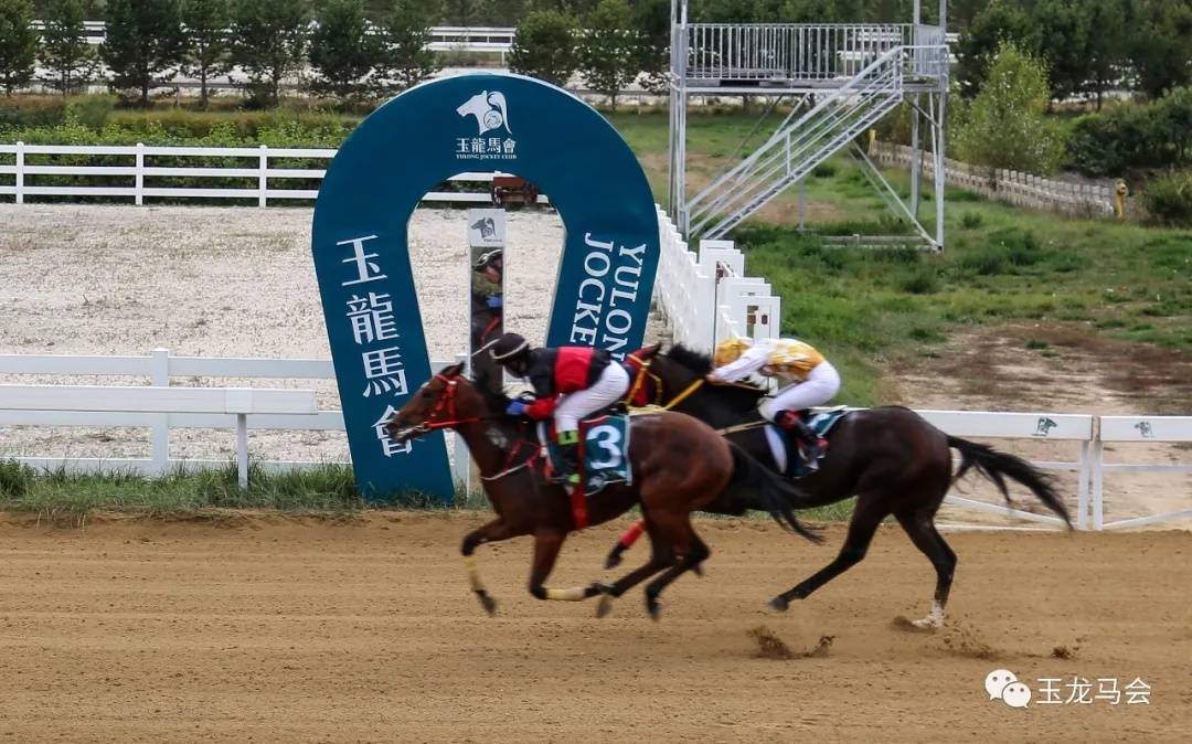 2021玉龙国际赛马公开赛第18赛马日:70万奖金赛事冠军揭晓!