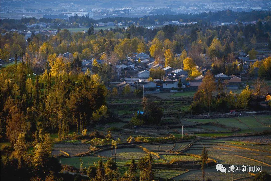 日子|云南腾冲：一林秋色天地远