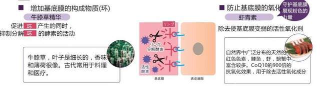 树皮Naris 祛皱抚纹紧致系列