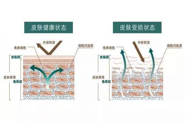 一生|抗衰不如“脸部养生”？最新推进美容院项目！