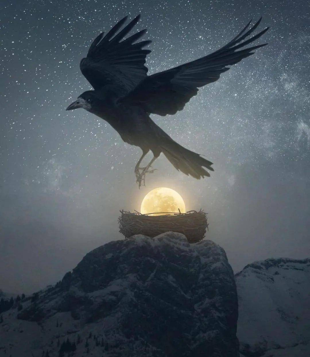 14张超现实主义照片带你进入一个梦幻般的世界仿佛穿梭时空