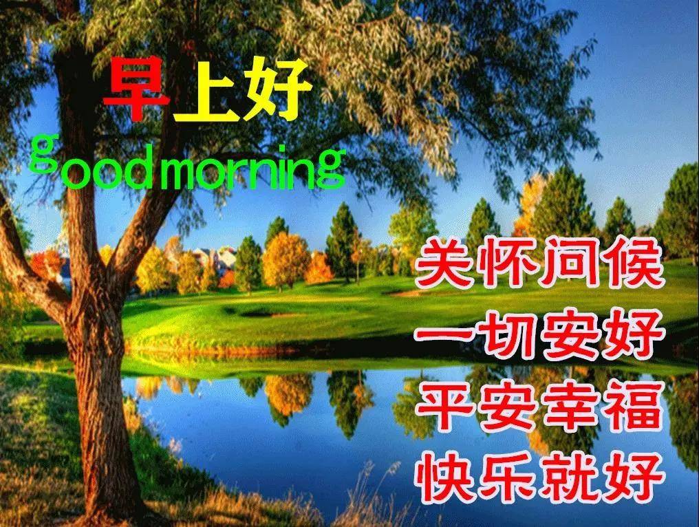 原创8张最新漂亮秋天早上好问候图片鲜花带祝福语 创意好看的秋天早安问候图片带字