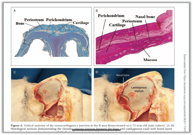 昆明|学术| 昆明吴氏吴承道院长受邀参加2021国际医学美容大会