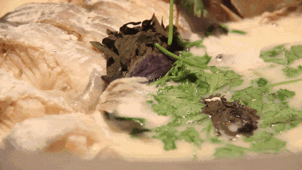 甲醛|老公买的这种鱼，差点害老婆流产！医生怒斥：你怎么敢买它