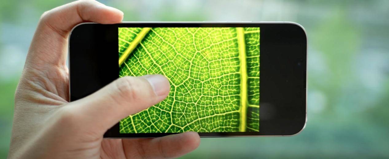 mini|外媒iPhone13開箱心得：續航提升有感，Pro 系列鏡頭表現還是很強