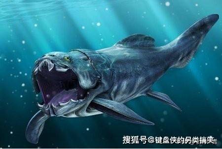 什么是史前怪兽 de6925c2376c4356a448518060ffa3f8.jpeg