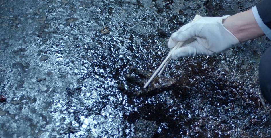 尸体|《法医秦明之无声之词》的三宗罪！求求编剧放过秦明