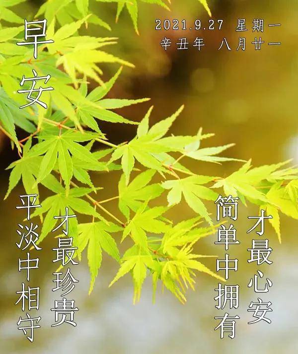 原创8张最新创意唯美的朋友圈早上好带祝福语好看的清晨早安问候语