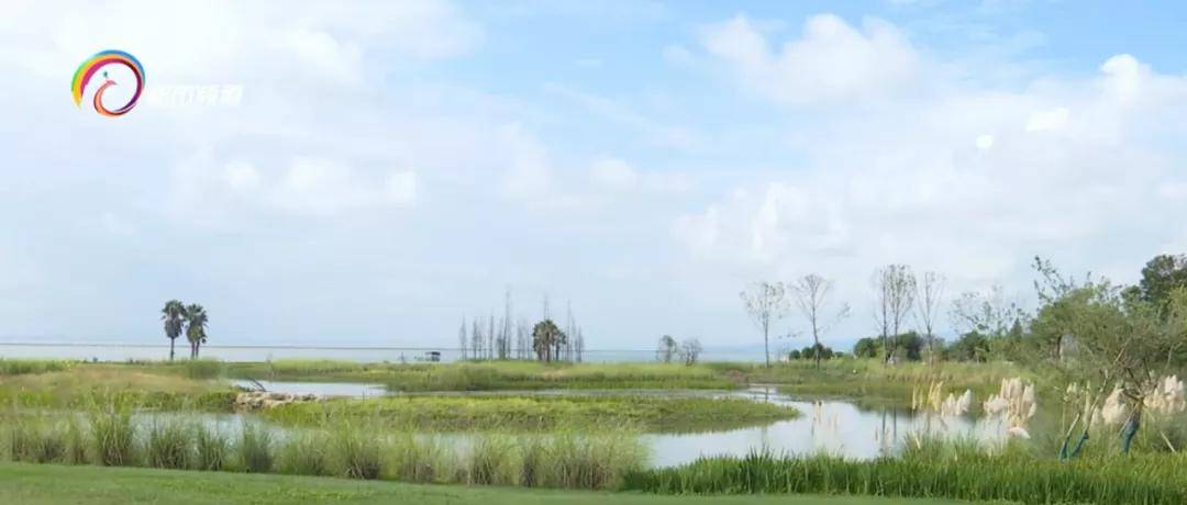 宝丰286亩！稻田、飞鸟、鱼虾、树林...COP15室外展示区宝丰湿地建设基本完毕