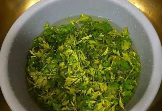 洗头青岛一女子，经常用艾叶煮水洗头，3个月后，她得到了什么？