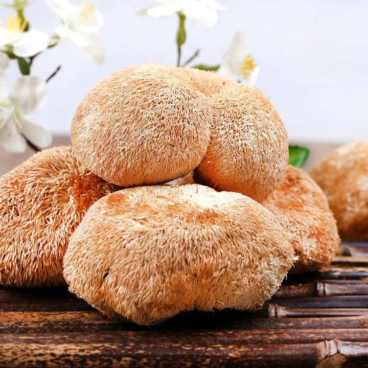 农小淘|秋风劲 | 菌菇养生正当时