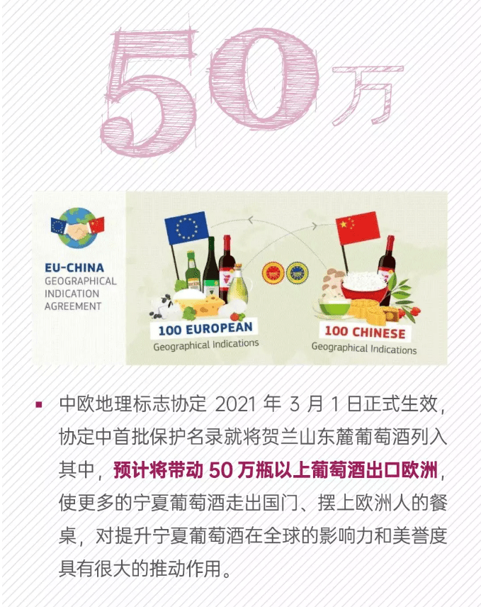成长|宁夏葡萄酒的数字成长记！