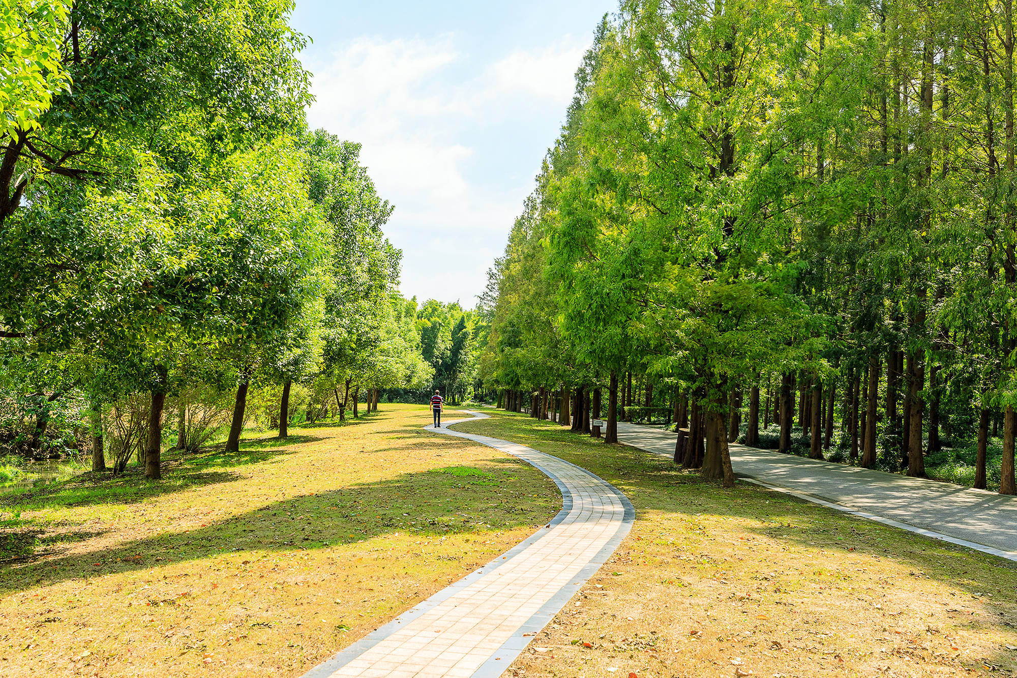 小火|同里湿地已入秋，来尝尝江南的“卡路里炸弹”