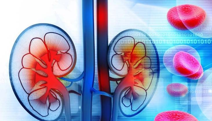 严重|肾病不想被高血钾拖垮，这些升钾食物别碰，很多人中招