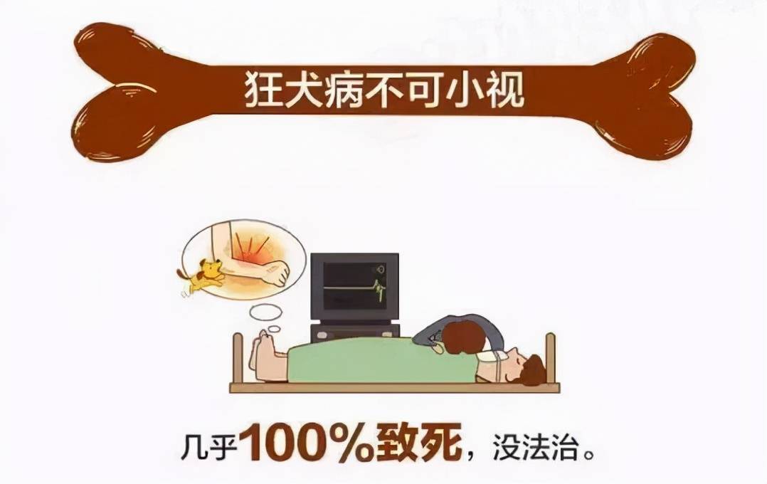 世界狂犬病日這種100致死的恐怖疾病建議每一個養狗的人士都要看一看