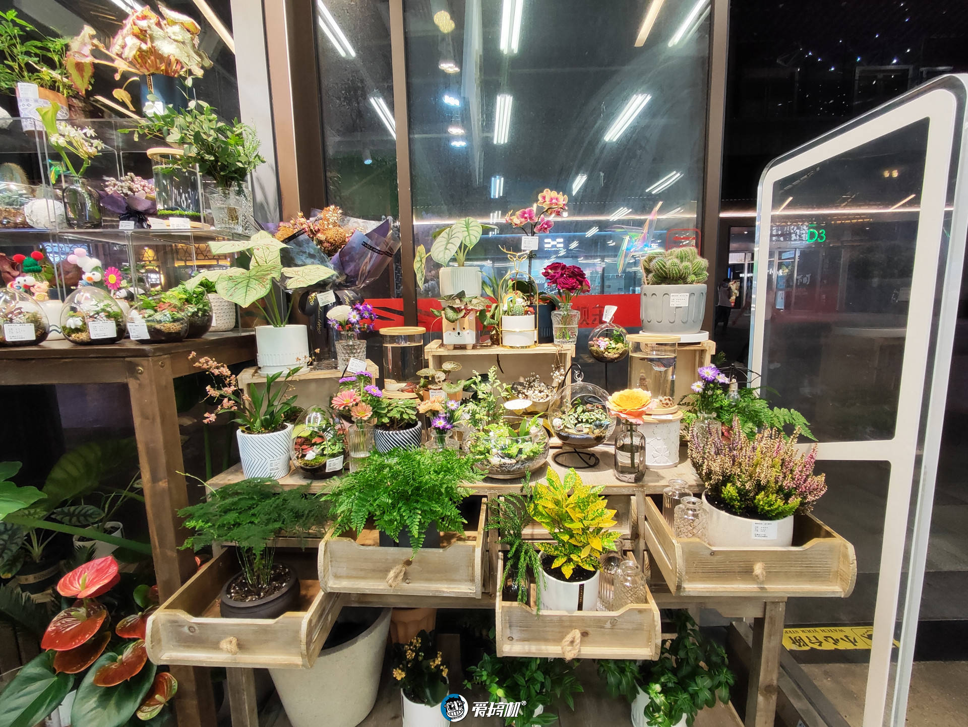 nit|小米Civi评测：我差点就恋爱了