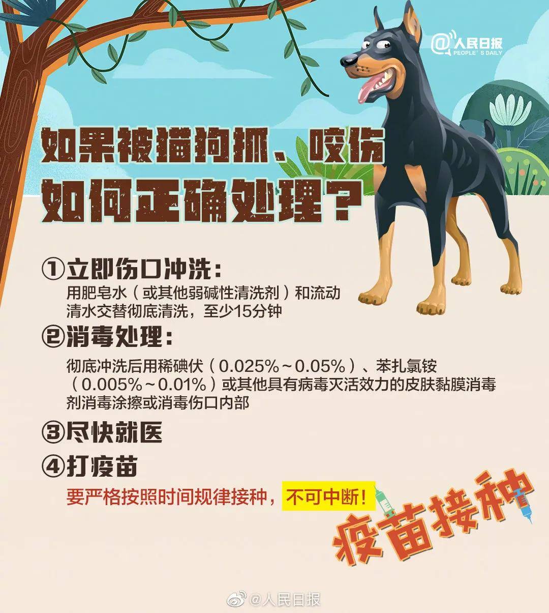 "我被猫抓伤出血了,会得狂犬病吗?