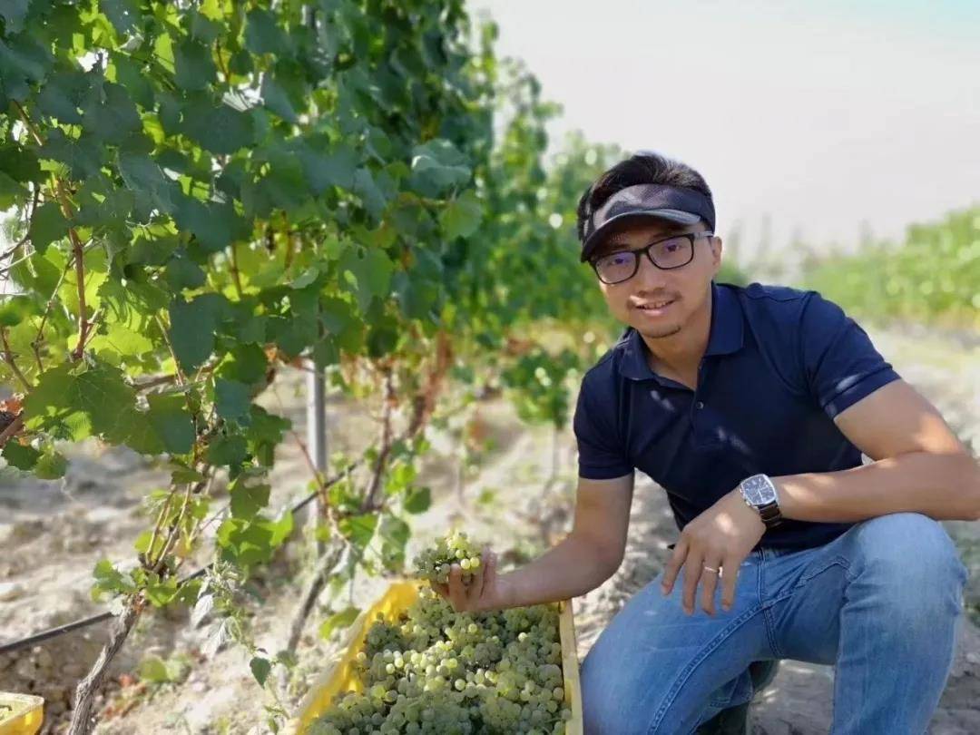 二级|2021宁夏贺兰山东麓列级酒庄诞生,多位葡萄酒大咖如是说……