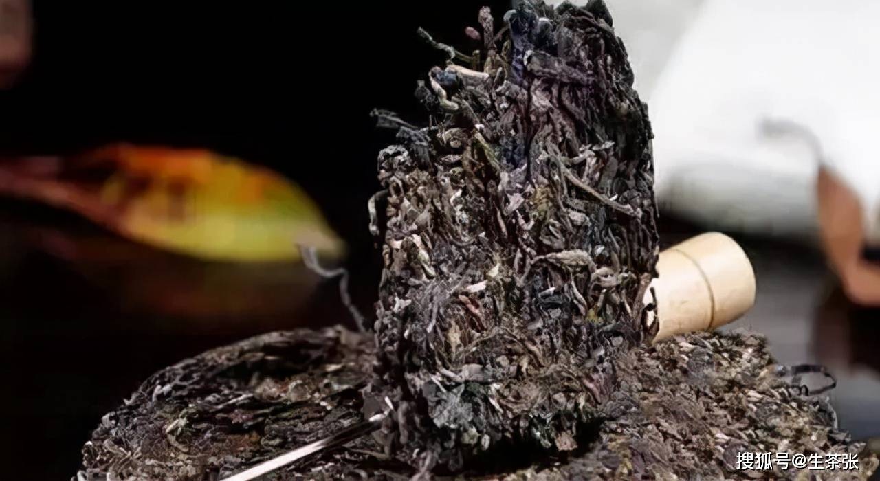 发霉了怎么办?处理方法在这里!_茶叶