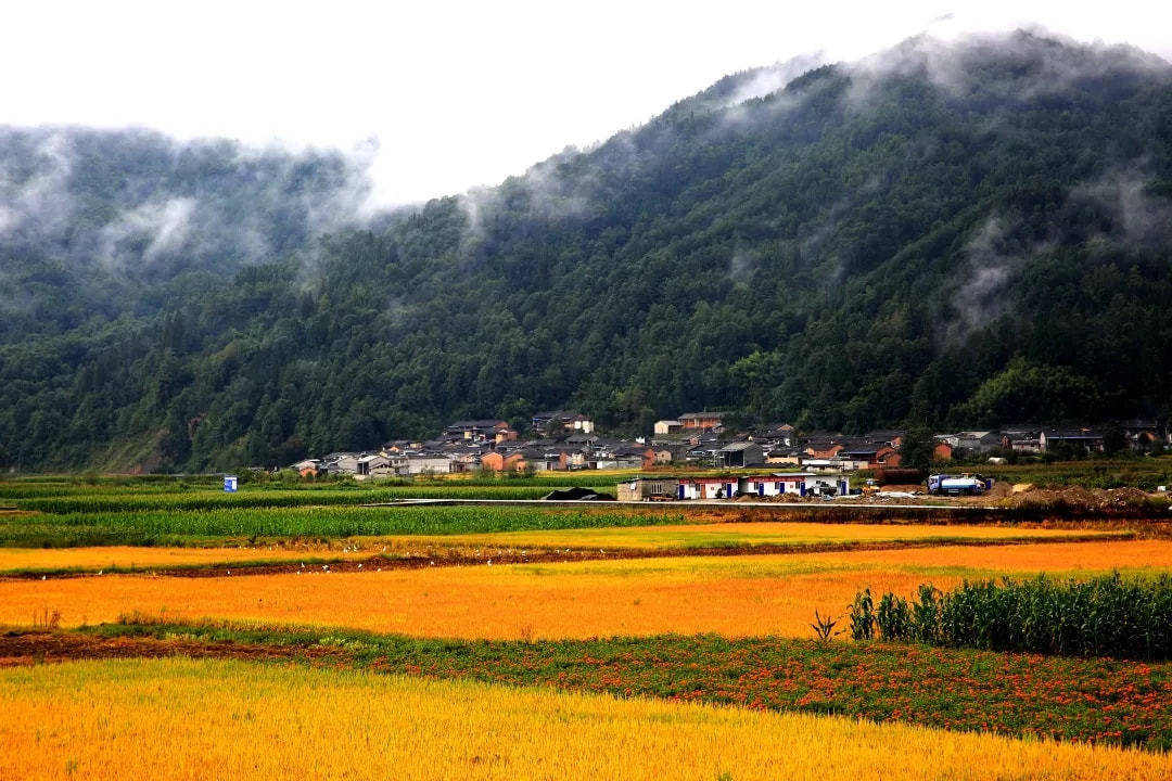 世外桃源|“十一”腾冲乡村游：醉美不过界头的山水画卷！